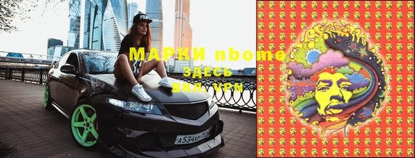 ешки Аркадак