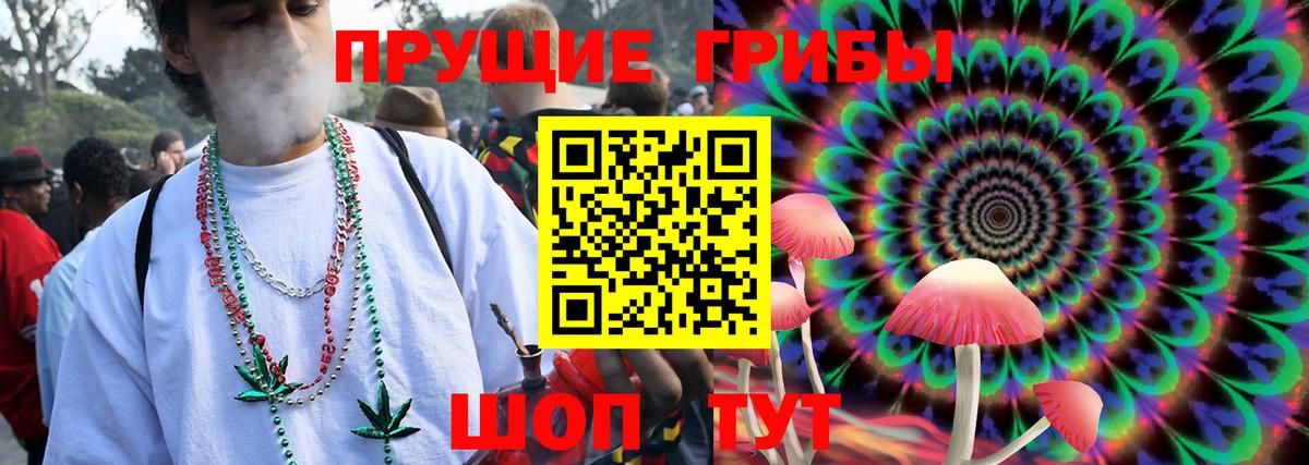 Псилоцибиновые грибы мицелий  Вход с VPN  Ульяновск 