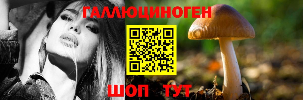 Псилоцибиновые грибы мухоморы Ульяновск